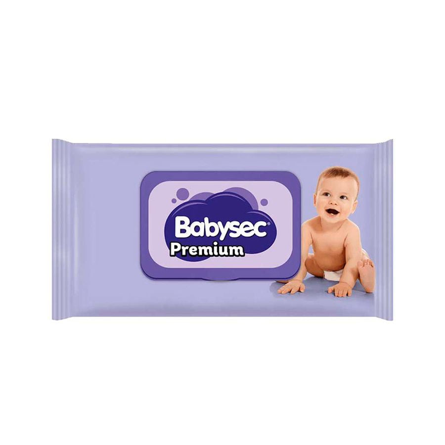 Babysec Toallitas Húmedas 70 un